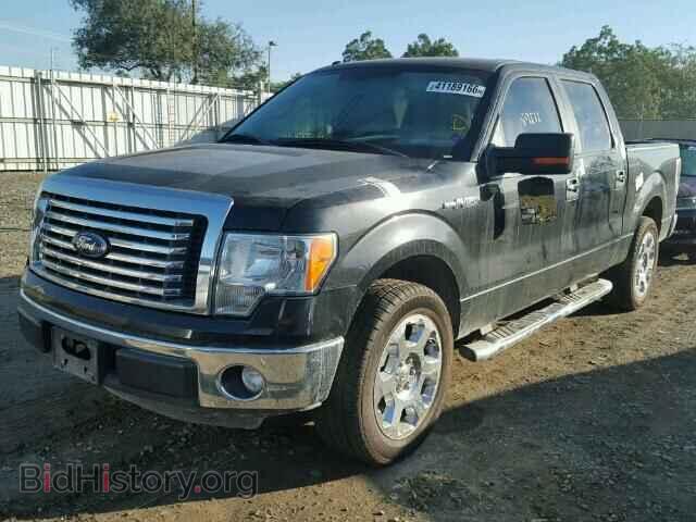 2011 FORD F150 - VIN: 1FTFW1CF2BFB72027 - Фото 2