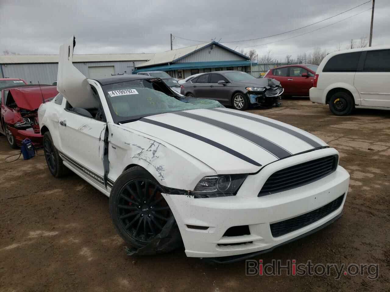 Photo 1ZVBP8AMXD5204282 - FORD MUSTANG 2013