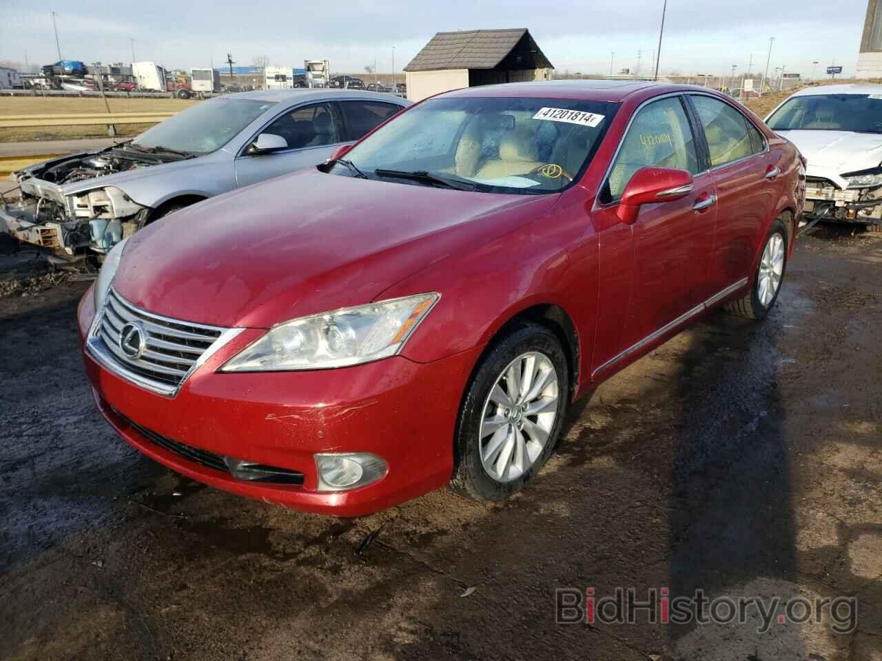 Photo JTHBK1EG8A2402612 - LEXUS ES350 2010