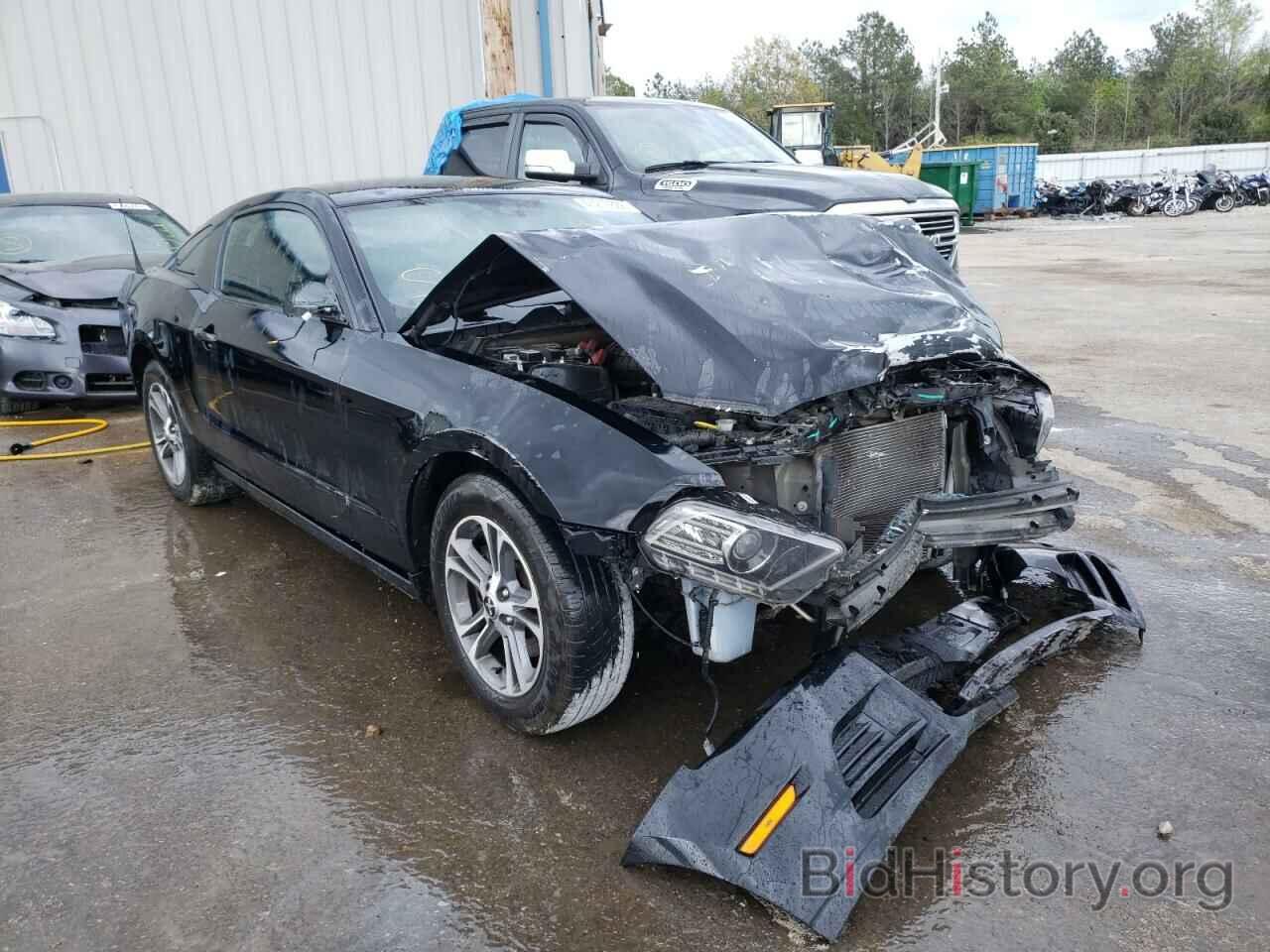 Photo 1ZVBP8AM8E5266913 - FORD MUSTANG 2014
