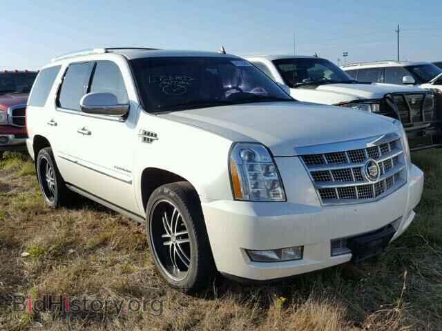 Фотография 1GYS4DEF5BR378339 - CADILLAC ESCALADE 2011