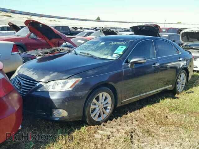 2010 LEXUS ES350 - VIN: JTHBK1EG5A2382240 - Фото 2