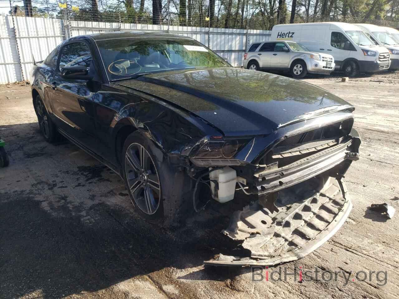 Photo 1ZVBP8AM8D5261094 - FORD MUSTANG 2013