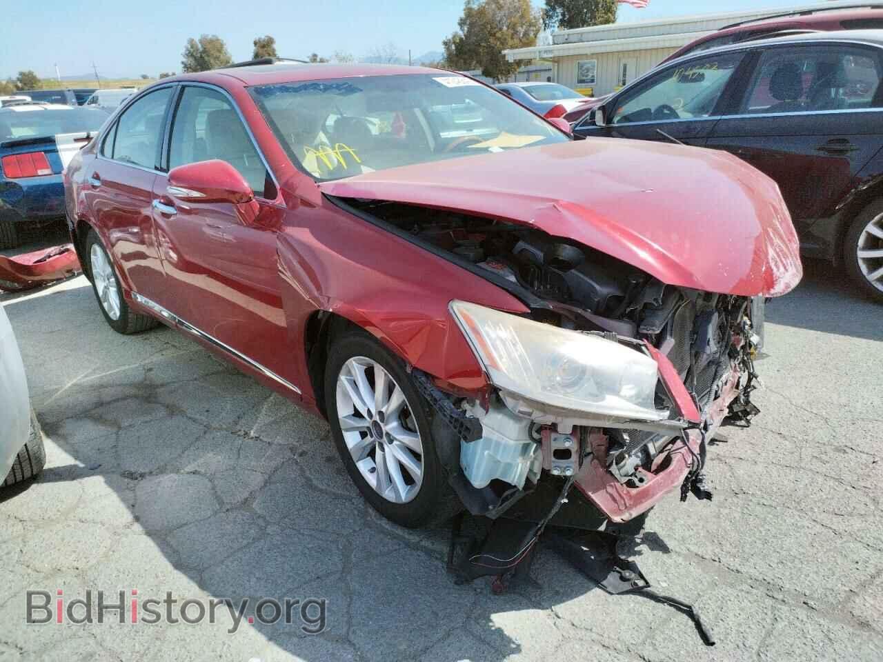 Photo JTHBK1EG2A2346795 - LEXUS ES350 2010
