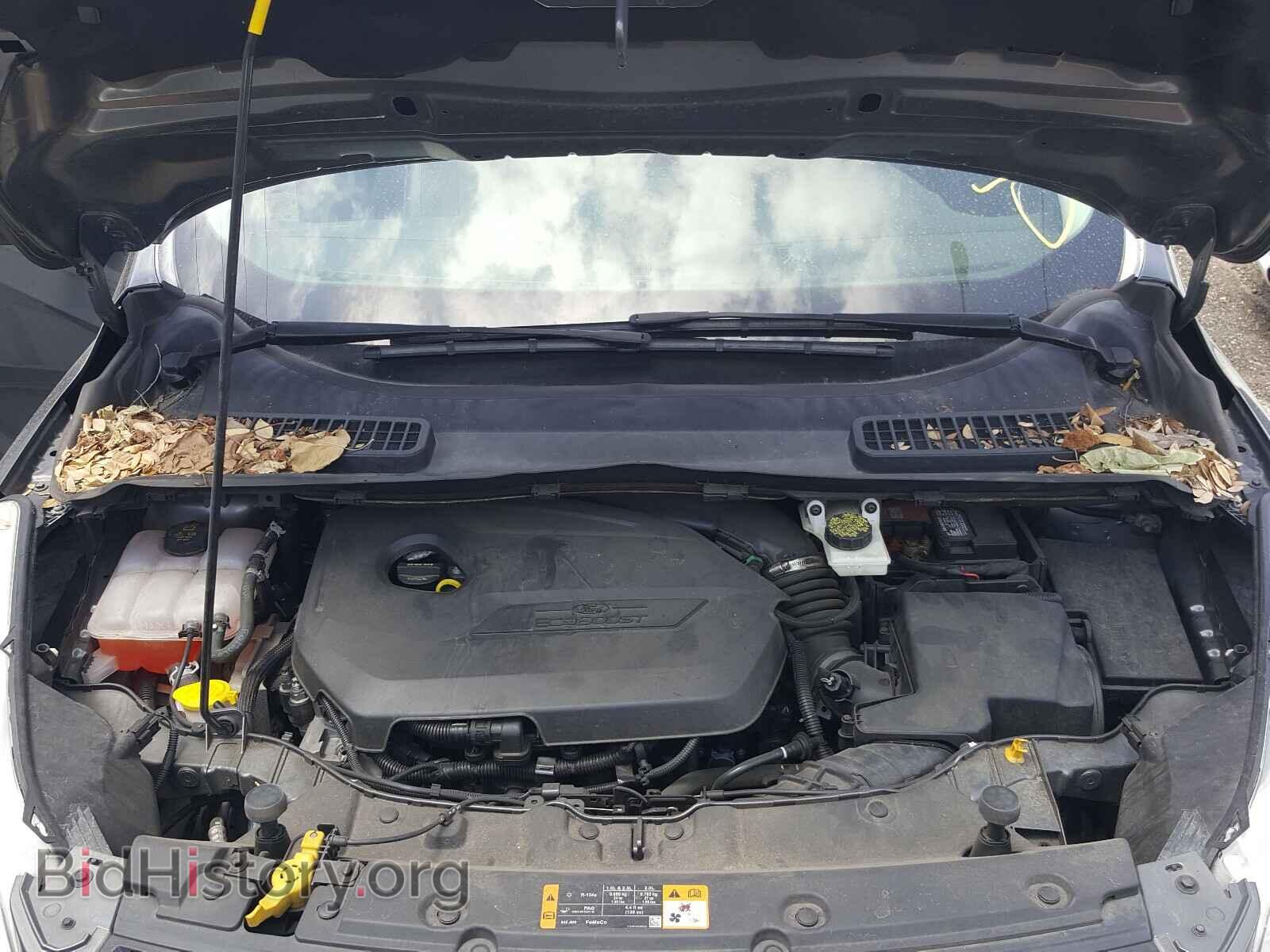 2014 FORD ESCAPE - VIN: 1FMCU0GX2EUD03104 - Фото 7