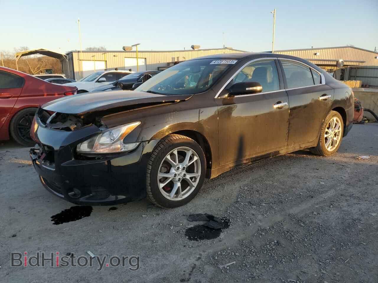 Фотография 1N4AA5AP1DC822391 - NISSAN MAXIMA 2013