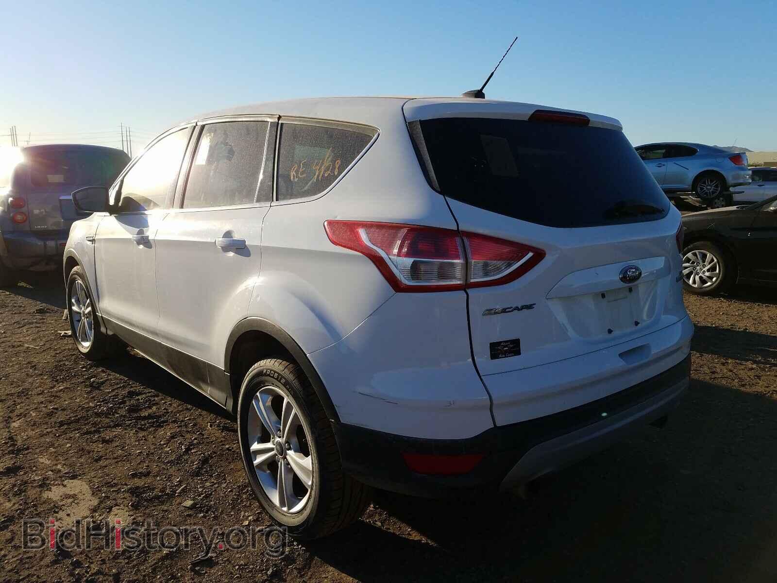 2013 FORD ESCAPE - VIN: 1FMCU0GX1DUC72507 - Фото 3