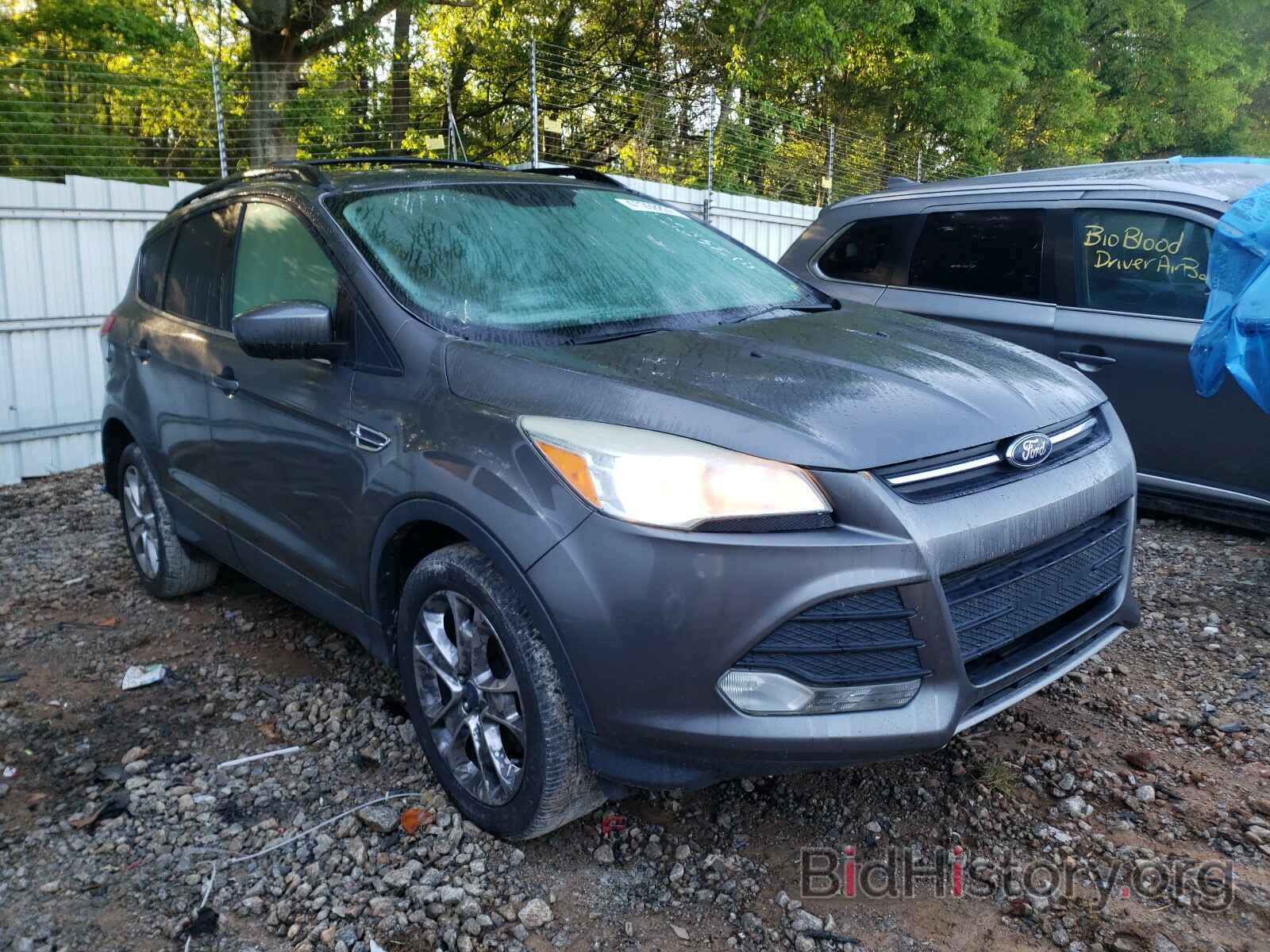 Photo 1FMCU0GX7DUC83334 - FORD ESCAPE 2013