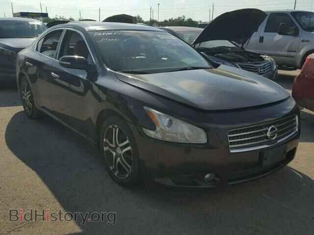 Photo 1N4AA5AP5AC801894 - NISSAN MAXIMA 2010