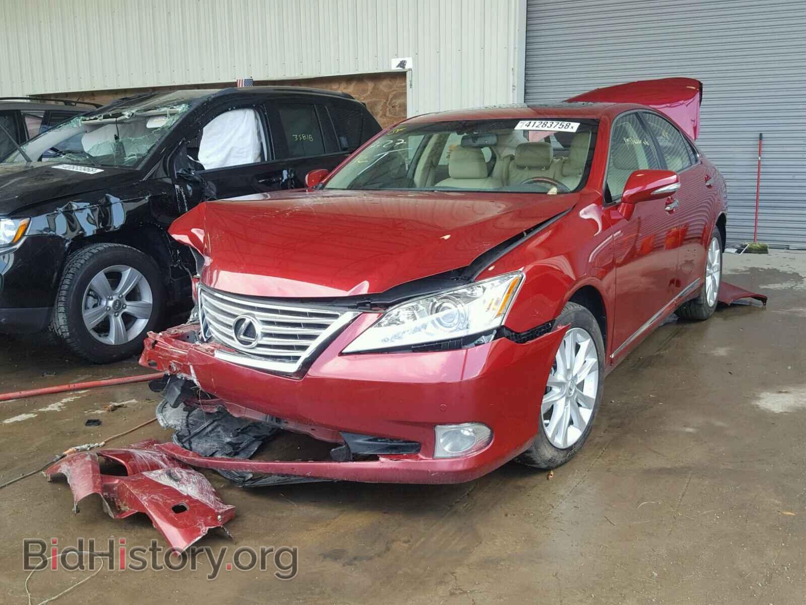 2010 LEXUS ES350 - VIN: JTHBK1EG1A2410941 - Фото 2