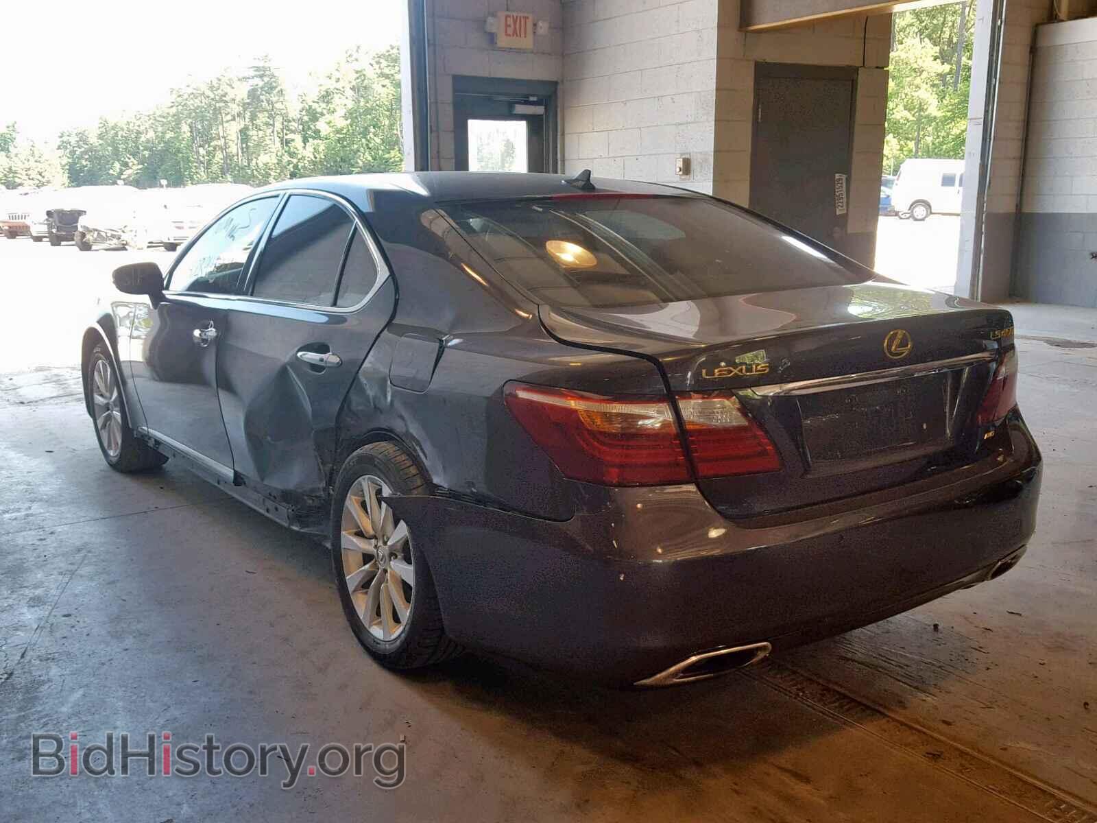 2010 LEXUS LS460 - VIN: JTHCL5EF6A5006838 - Фото 3