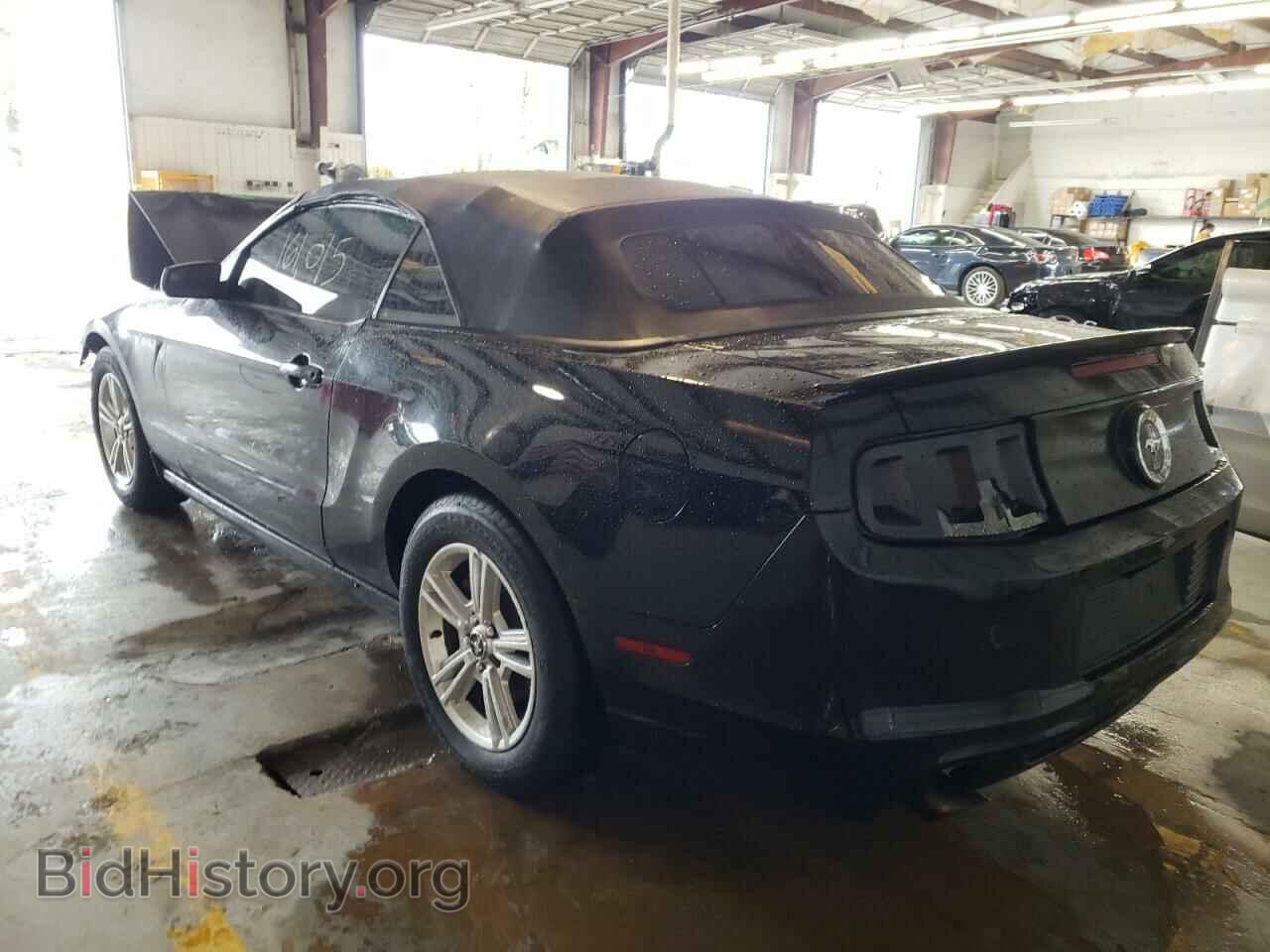 2013 FORD MUSTANG - VIN: 1ZVBP8EM1D5203449 - Фото 3