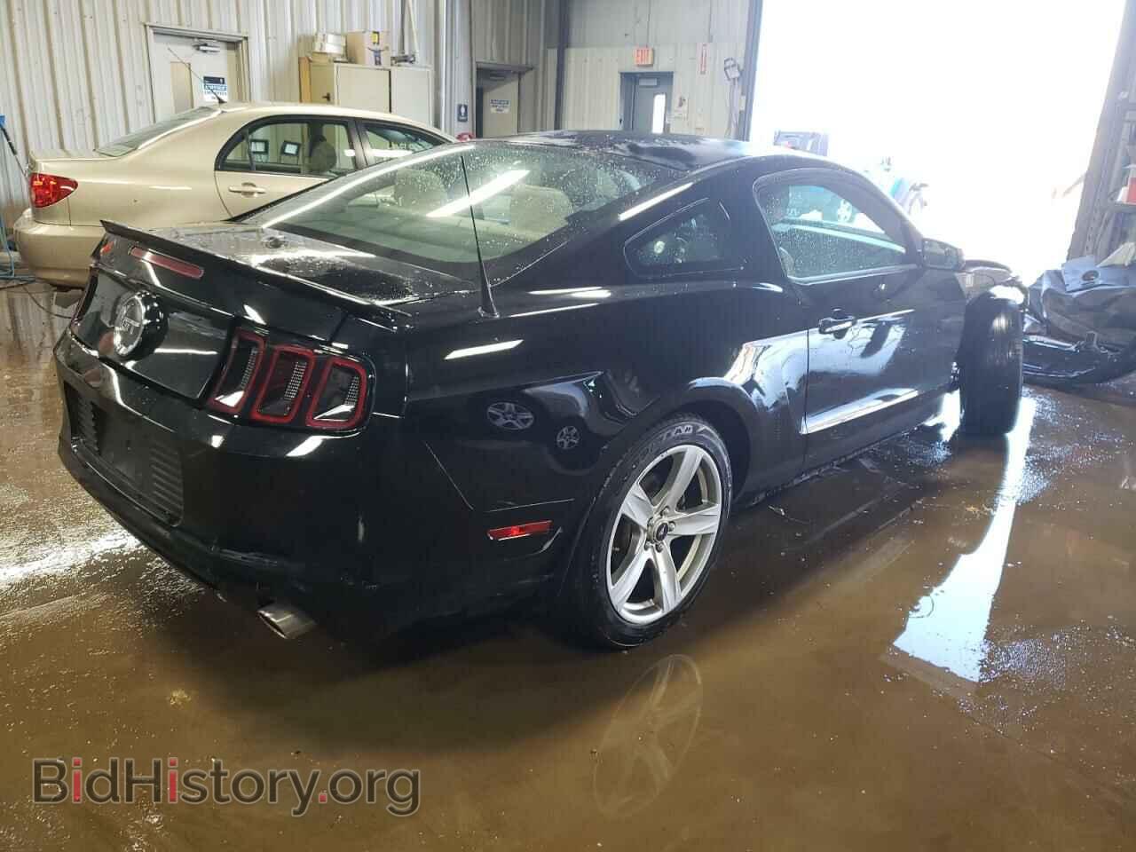 2014 FORD MUSTANG - VIN: 1ZVBP8CF0E5230907 - Фото 3