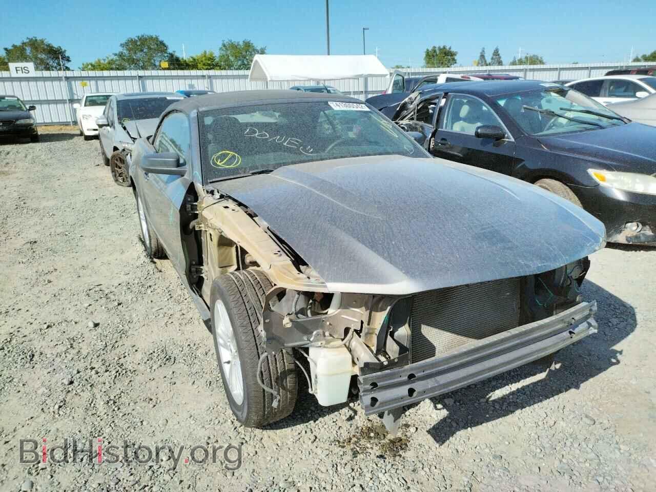 Photo 1ZVBP8EN7A5122198 - FORD MUSTANG 2010