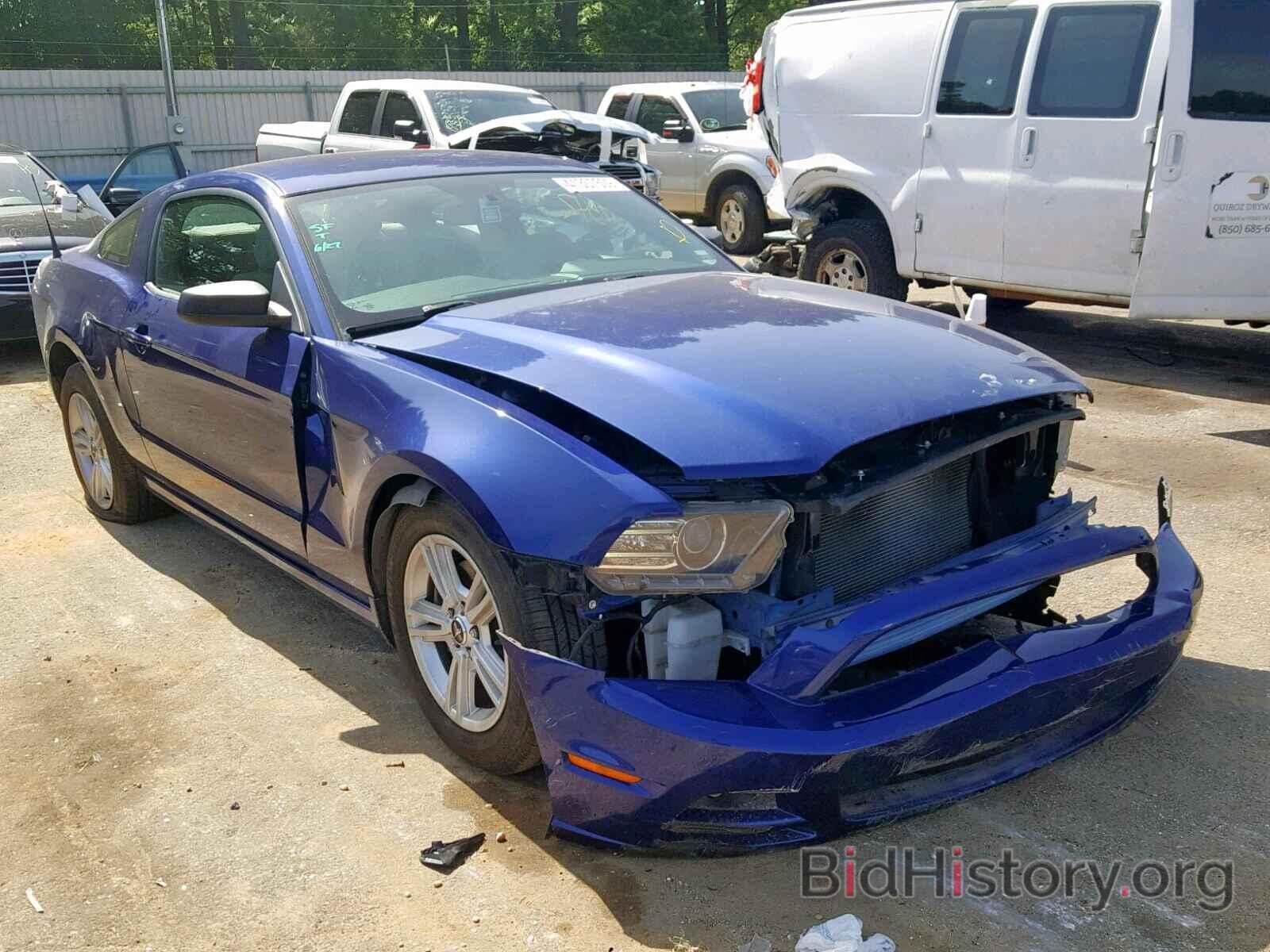Photo 1ZVBP8AM0E5273533 - FORD MUSTANG 2014