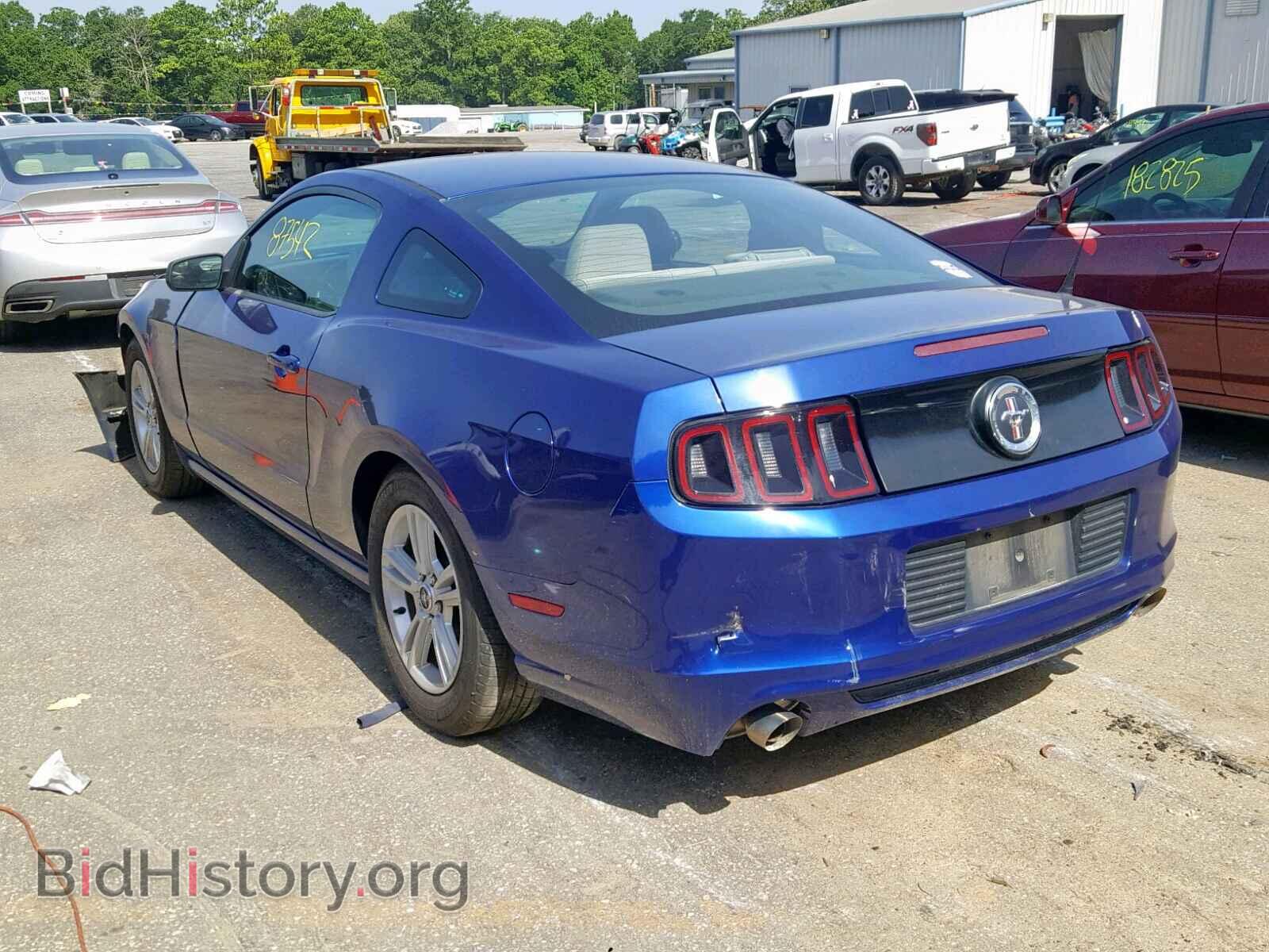 2014 FORD MUSTANG - VIN: 1ZVBP8AM0E5273533 - Фото 3