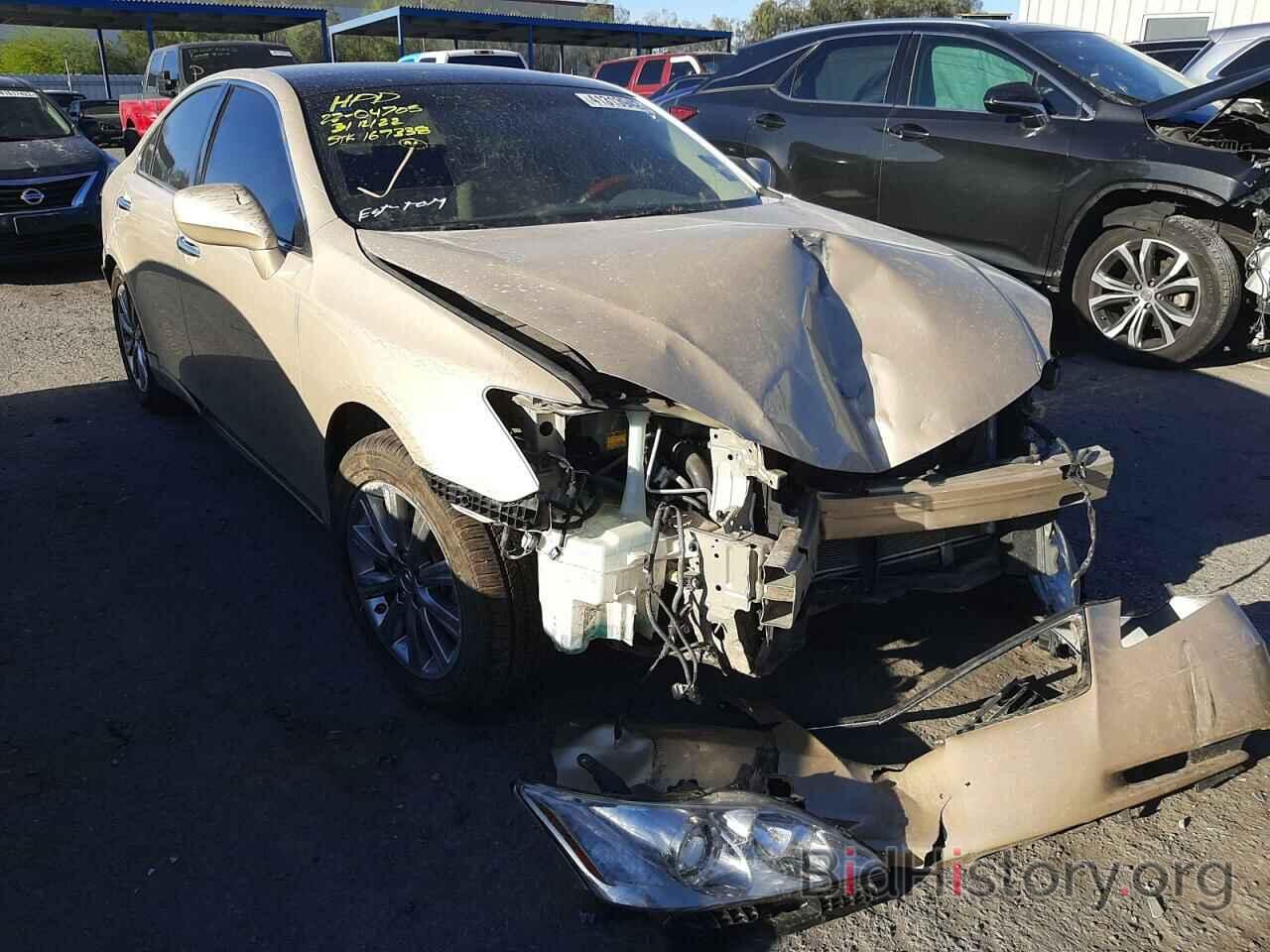 Photo JTHBJ46G072001812 - LEXUS ES350 2007