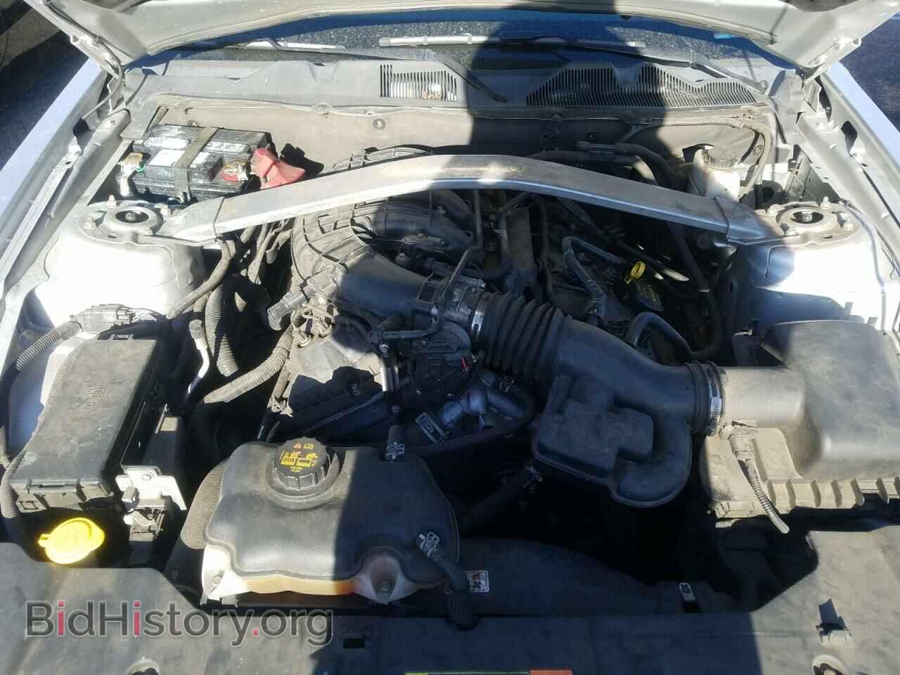2013 FORD MUSTANG - VIN: 1ZVBP8EM9D5236649 - Фото 7