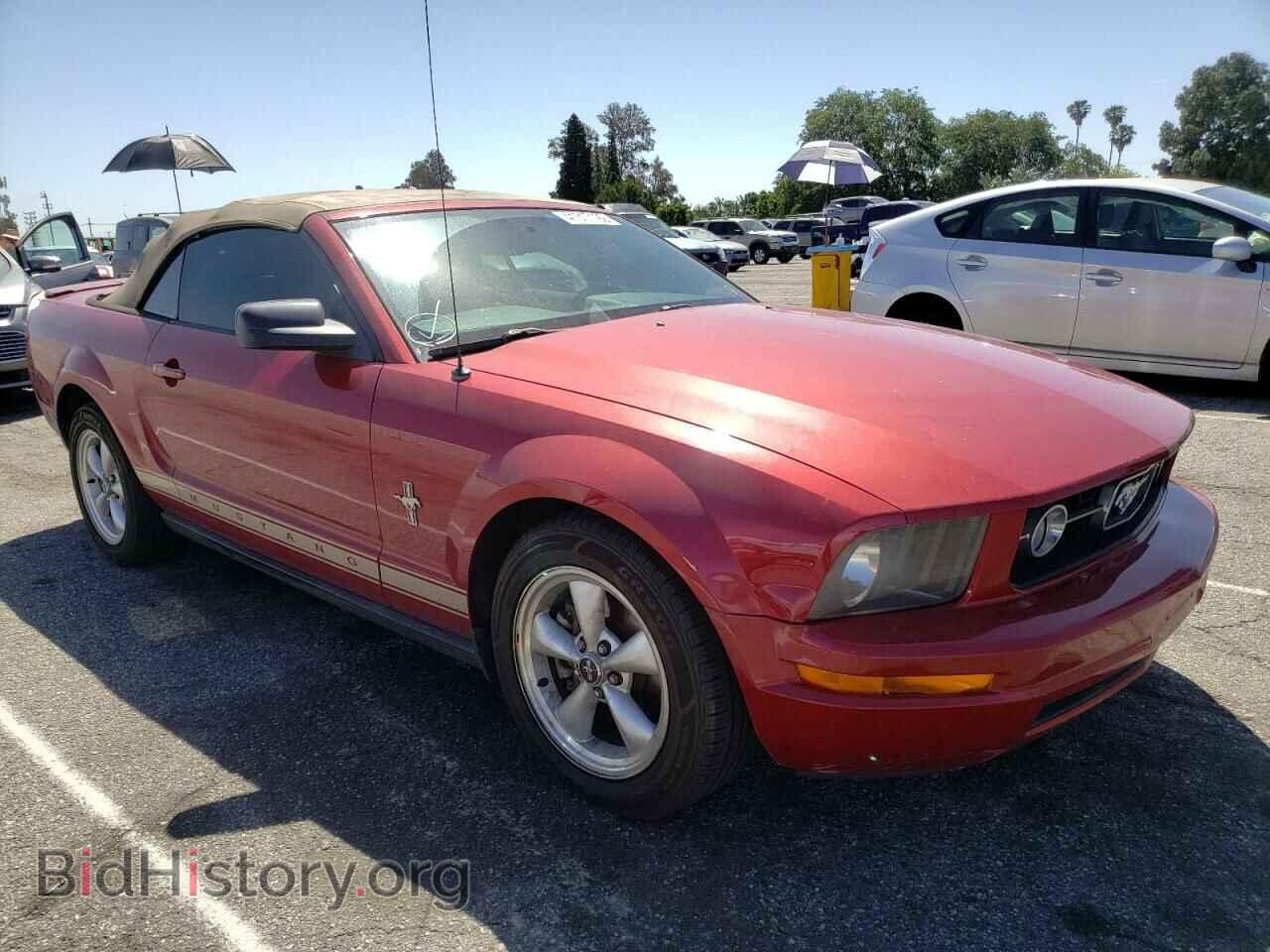Фотография 1ZVHT84N185171981 - FORD MUSTANG 2008