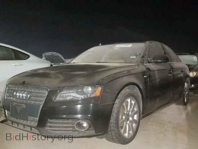 2010 AUDI A4 - VIN: WAUEFAFL7AN034322 - Фото 2