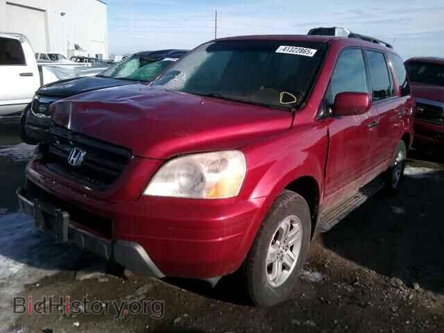 2005 HONDA PILOT - VIN: 2HKYF18515H550132 - Фото 2