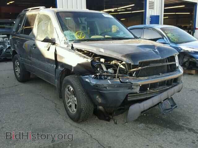 Фотография 5FNYF18685B010008 - HONDA PILOT 2005