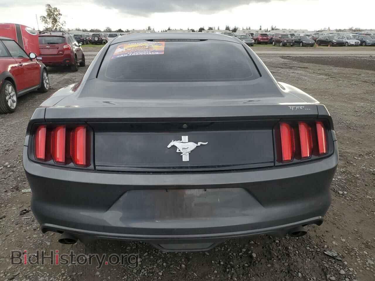 2017 FORD ALL Models - VIN: 1FA6P8AM1H5320079 - Фото 6