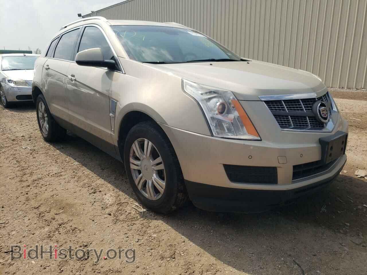 Фотография 3GYFNAE38CS503013 - CADILLAC SRX 2012