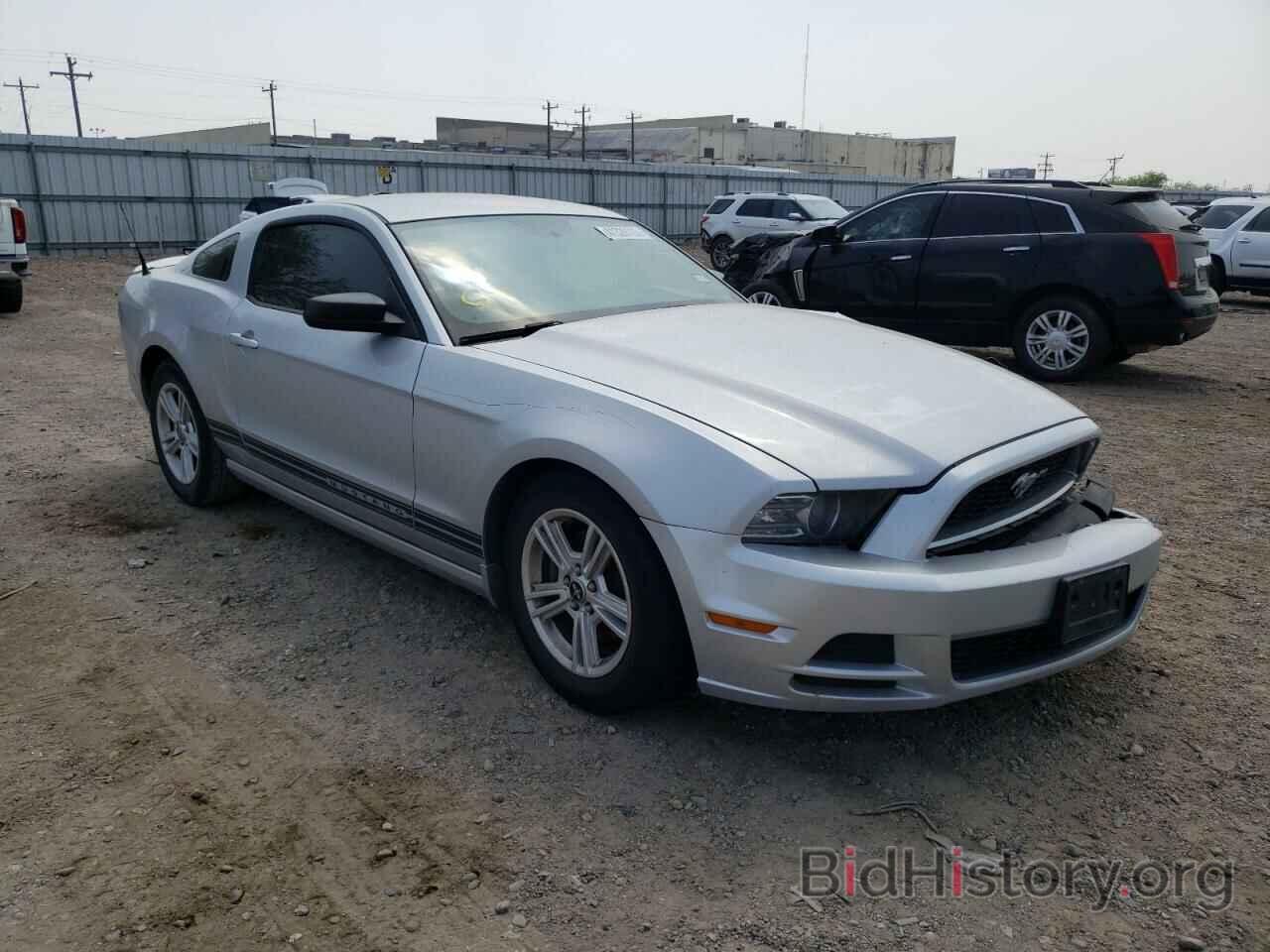 Photo 1ZVBP8AM0D5269240 - FORD MUSTANG 2013
