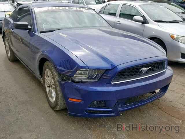 Photo 1ZVBP8AMXD5261517 - FORD MUSTANG 2013