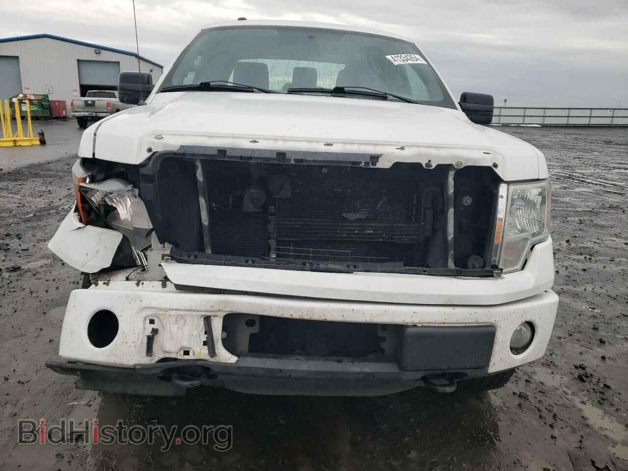 2013 FORD F-150 - VIN: 1FTFX1EF7DFE08040 - Фото 5