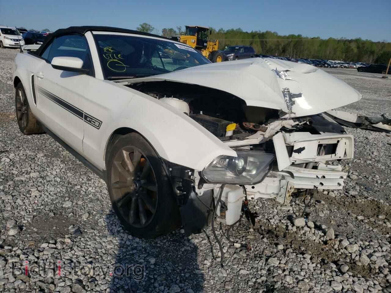 Photo 1ZVBP8FF5B5114514 - FORD MUSTANG 2011