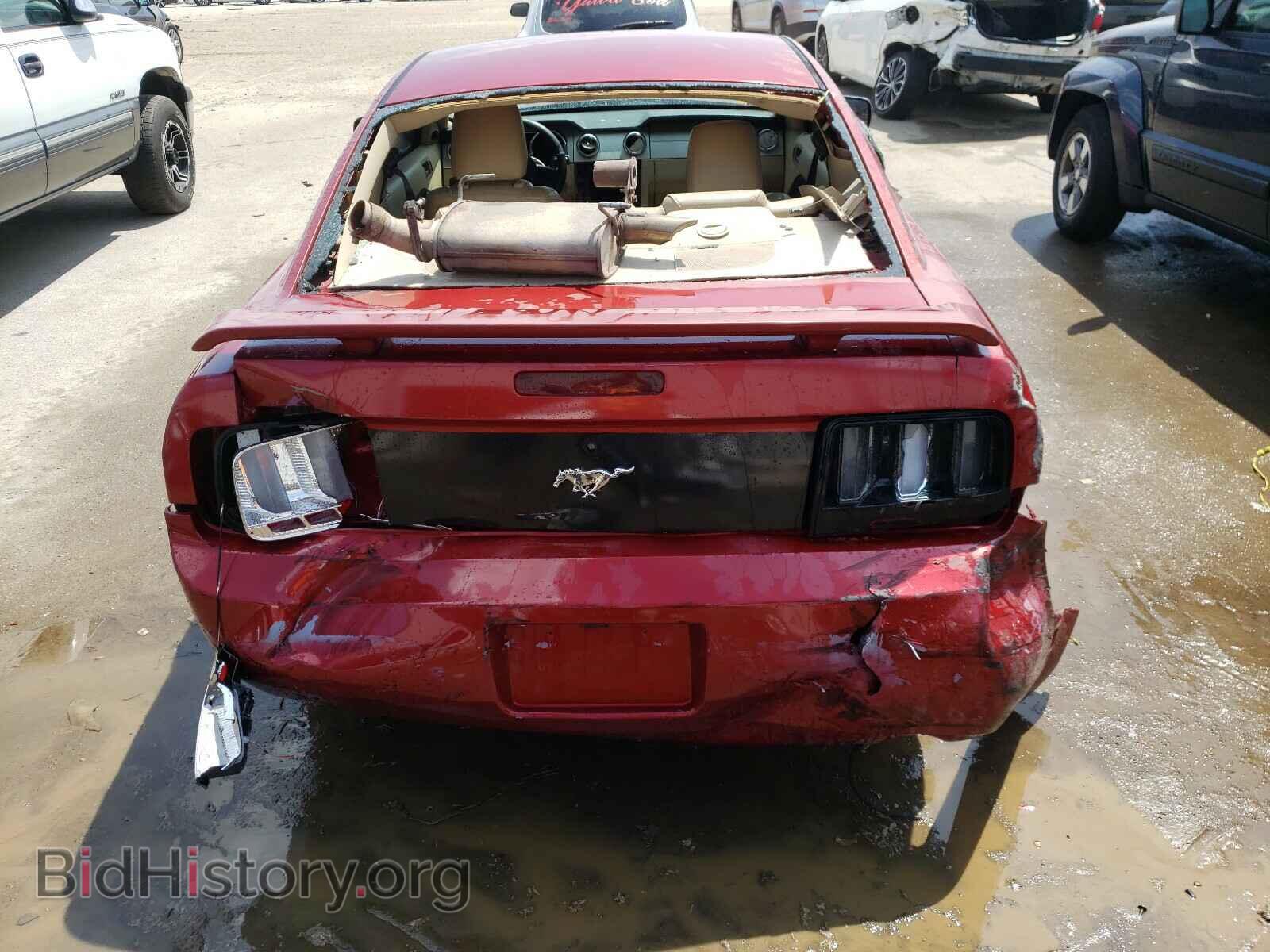 2006 FORD MUSTANG - VIN: 1ZVFT80N365123702 - Фото 9