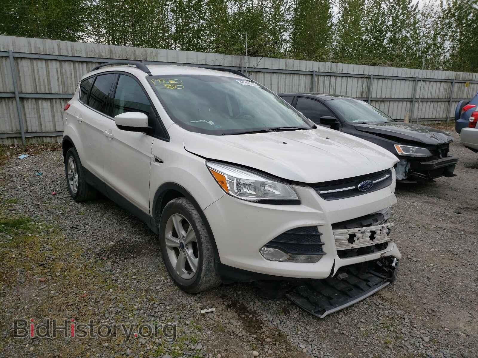 Photo 1FMCU0GX8EUC78502 - FORD ESCAPE 2014