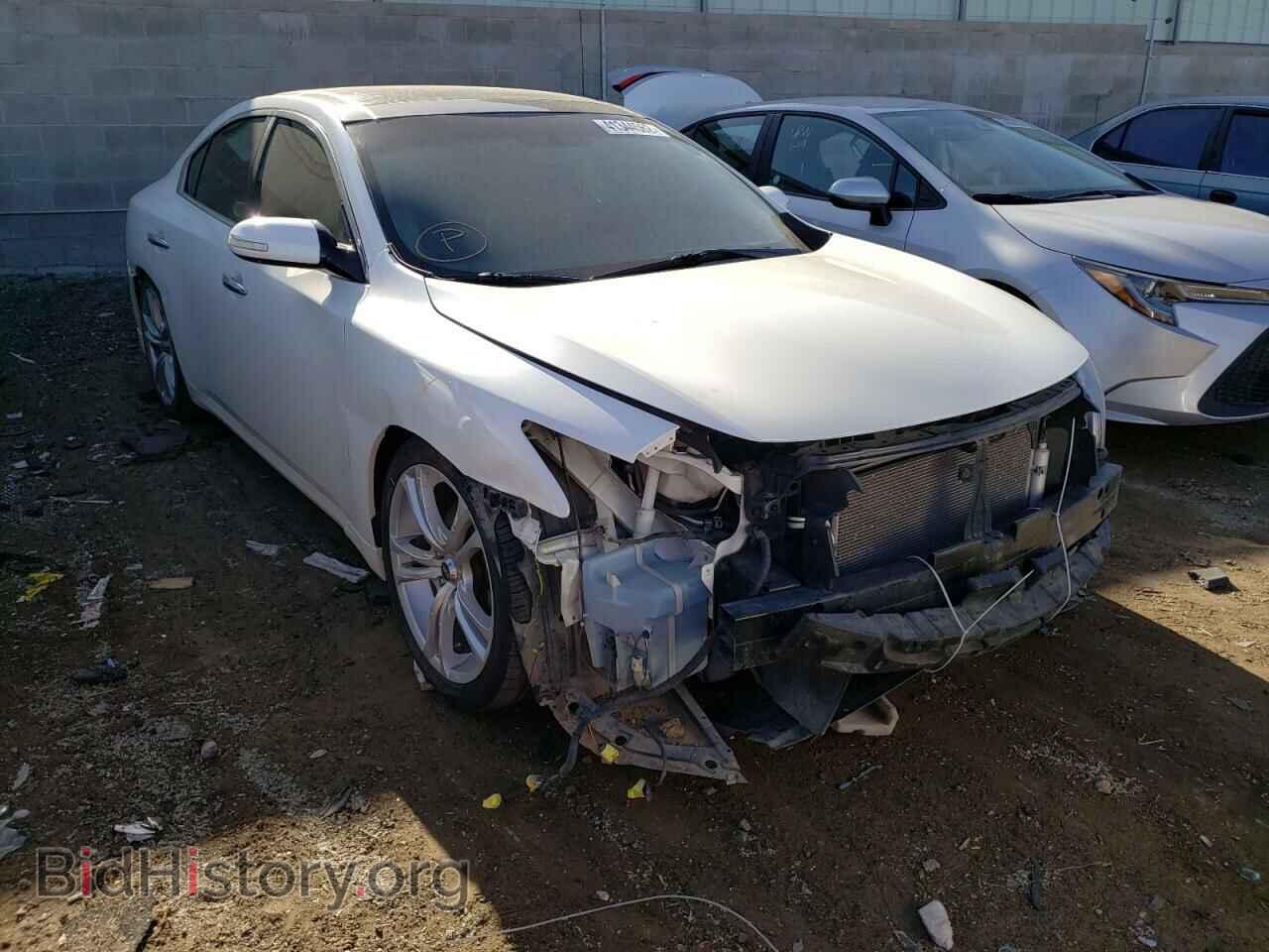 Photo 1N4AA5AP1AC849005 - NISSAN MAXIMA 2010