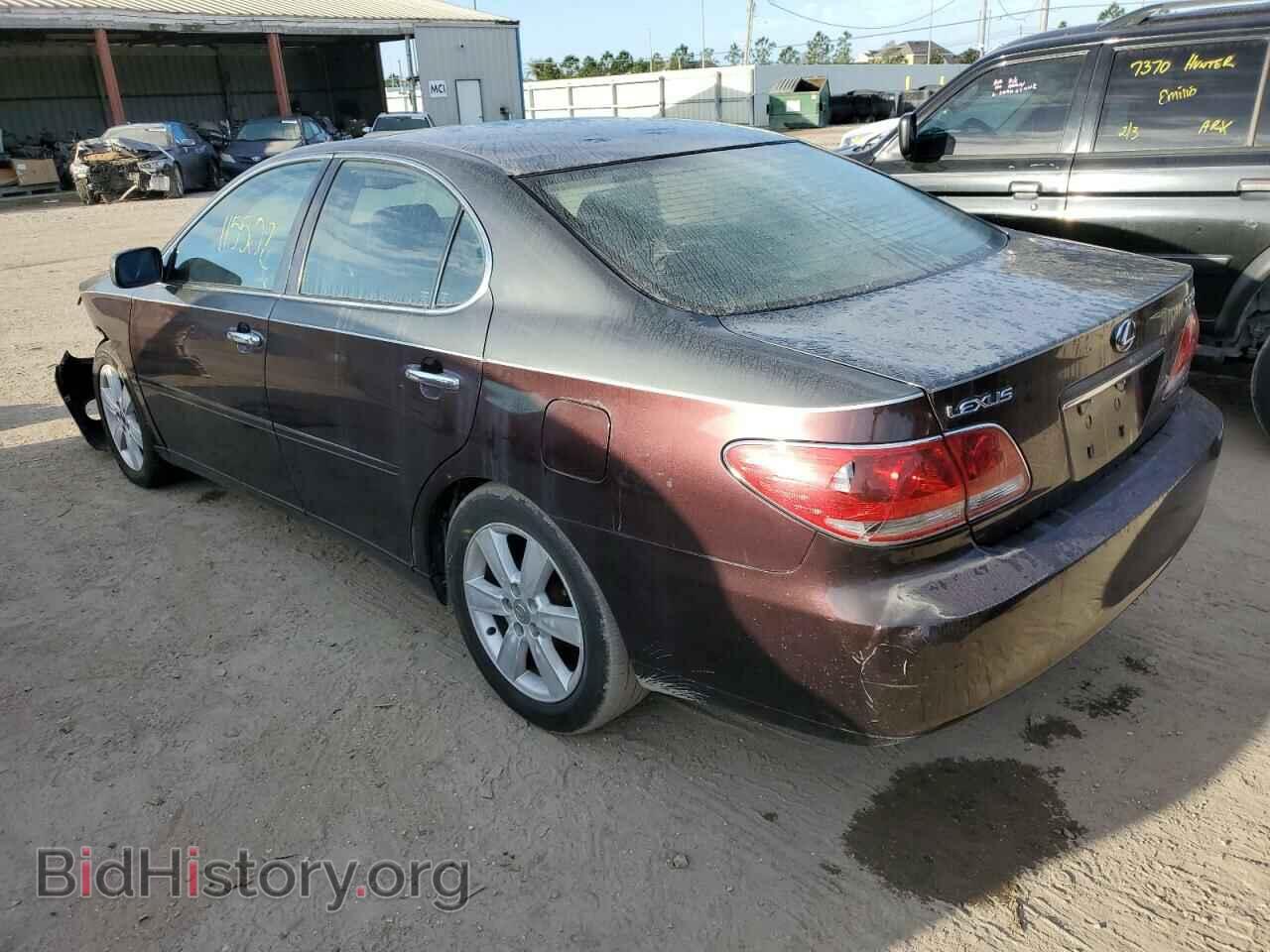 2005 LEXUS ES330 - VIN: JTHBA30G755139281 - Фото 2