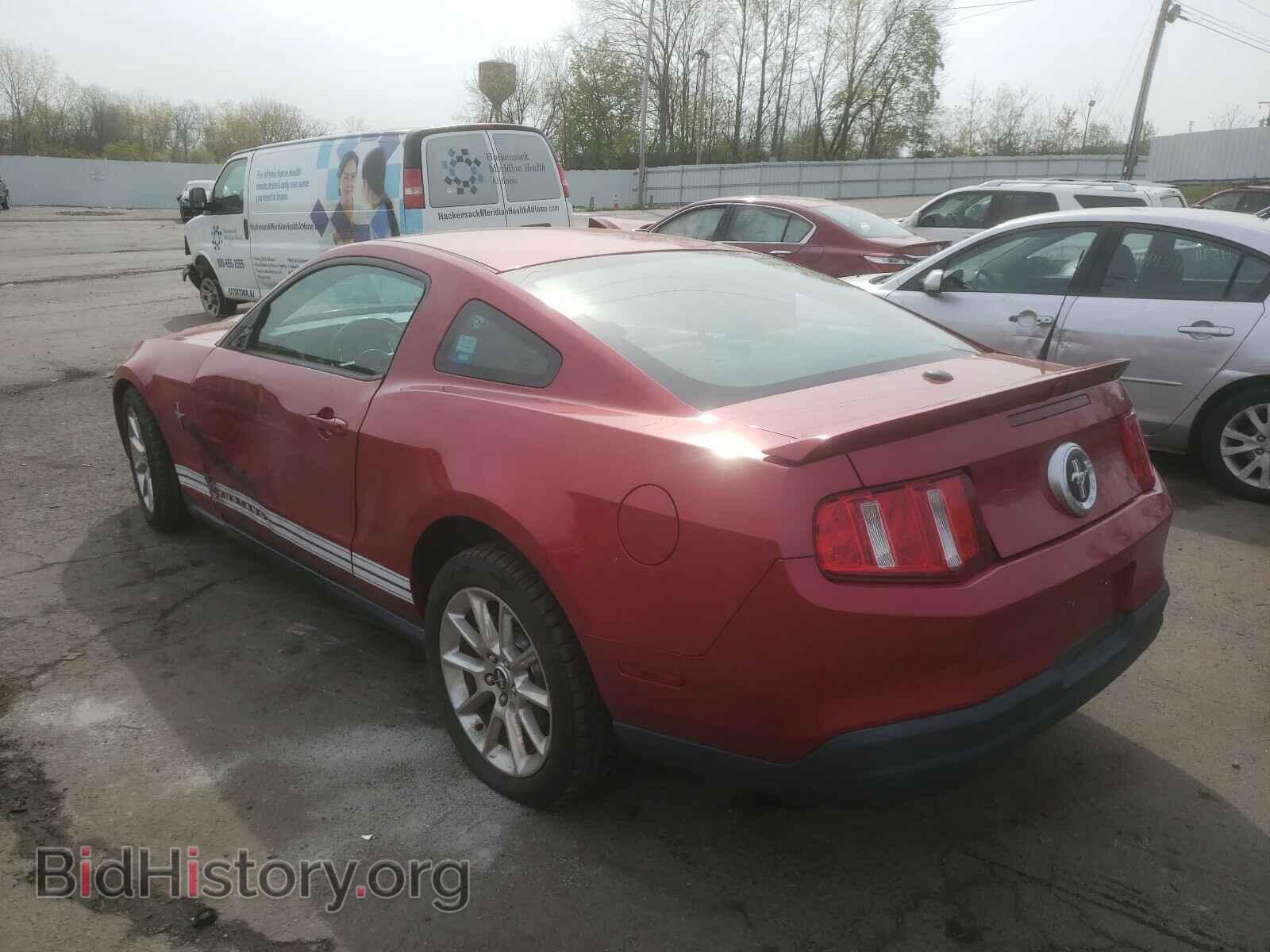 2010 FORD MUSTANG - VIN: 1ZVBP8AN1A5116872 - Фото 3