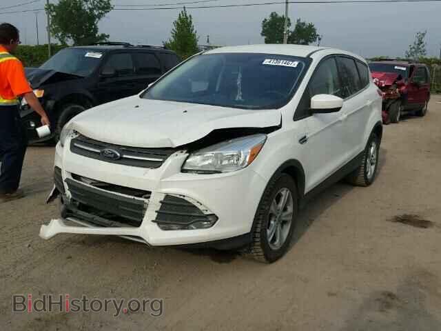 2014 FORD ESCAPE - VIN: 1FMCU0GX1EUE43029 - Фото 2