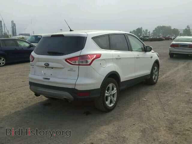 2014 FORD ESCAPE - VIN: 1FMCU0GX1EUE43029 - Фото 4