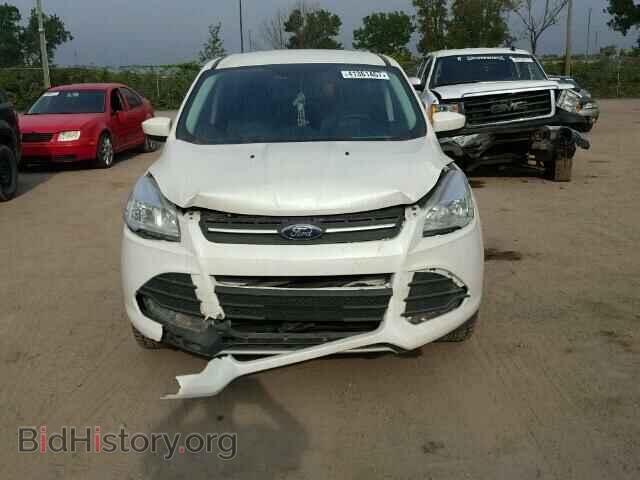 2014 FORD ESCAPE - VIN: 1FMCU0GX1EUE43029 - Фото 9