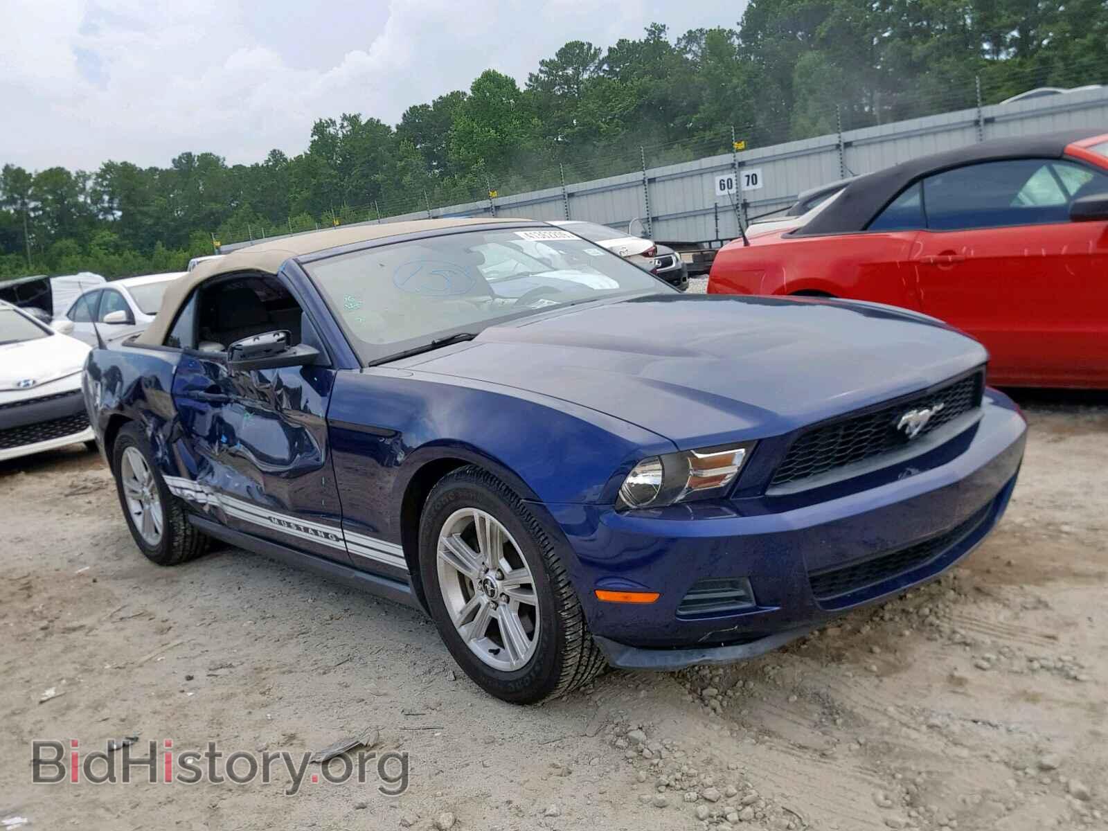 Фотография 1ZVBP8EM0B5105347 - FORD MUSTANG 2011