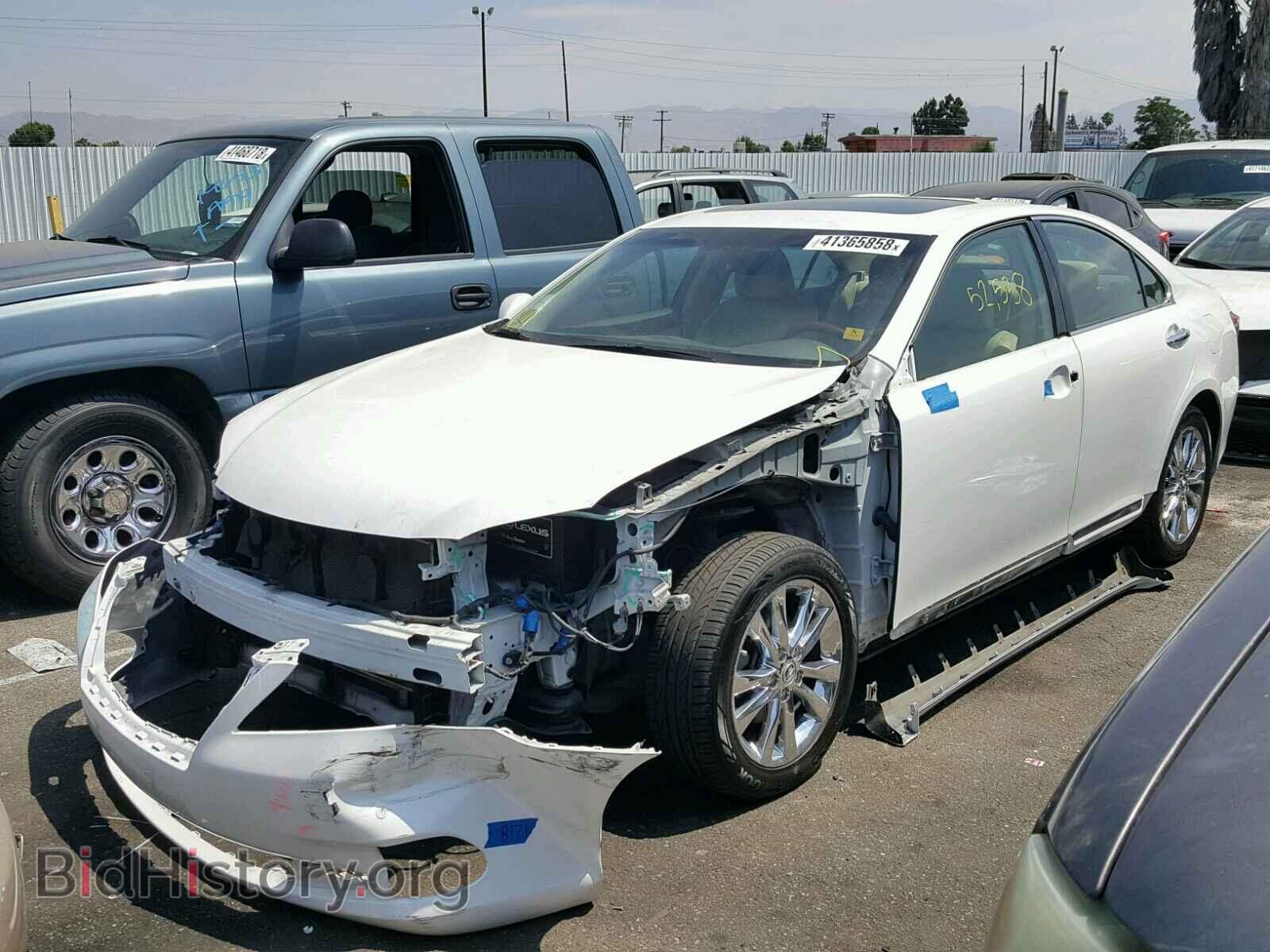 2011 LEXUS ES350 - VIN: JTHBK1EG3B2420484 - Фото 2