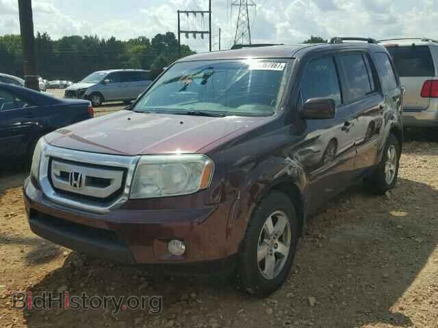 2009 HONDA PILOT - VIN: 5FNYF48509B005528 - Фото 2
