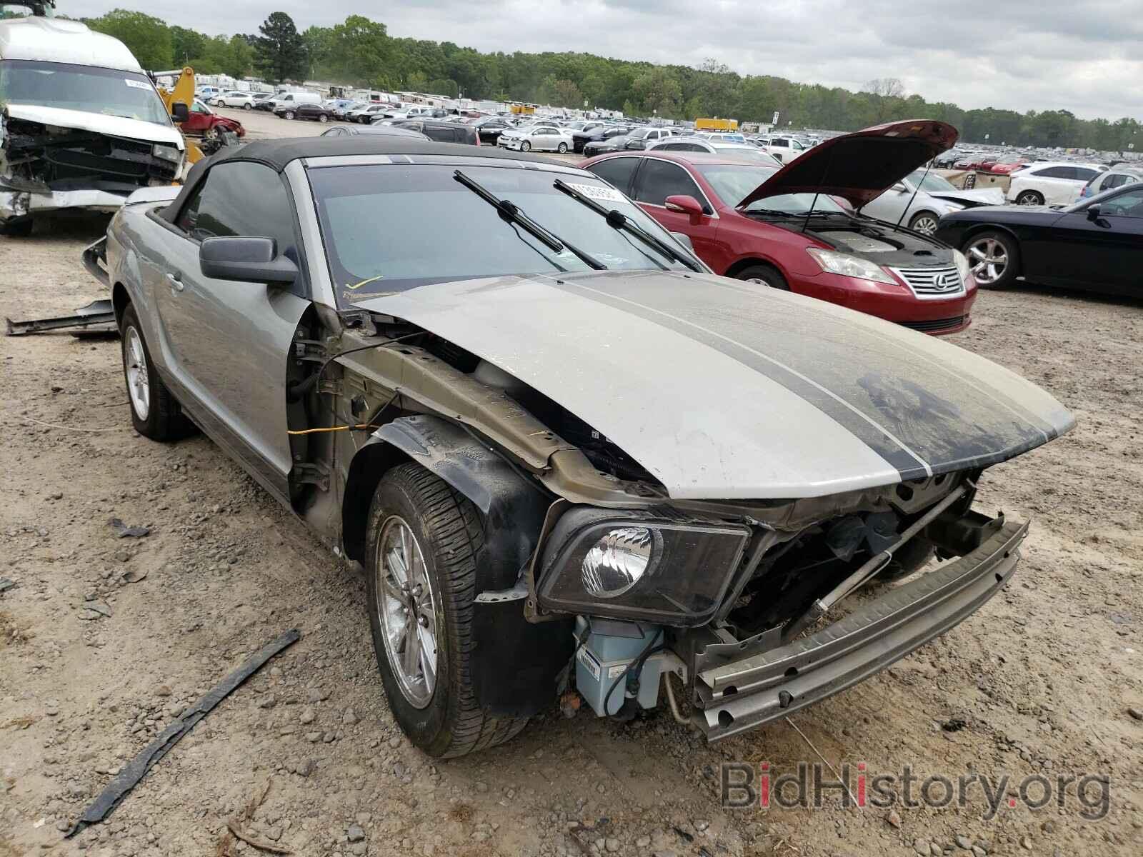 Photo 1ZVHT84N595112546 - FORD MUSTANG 2009