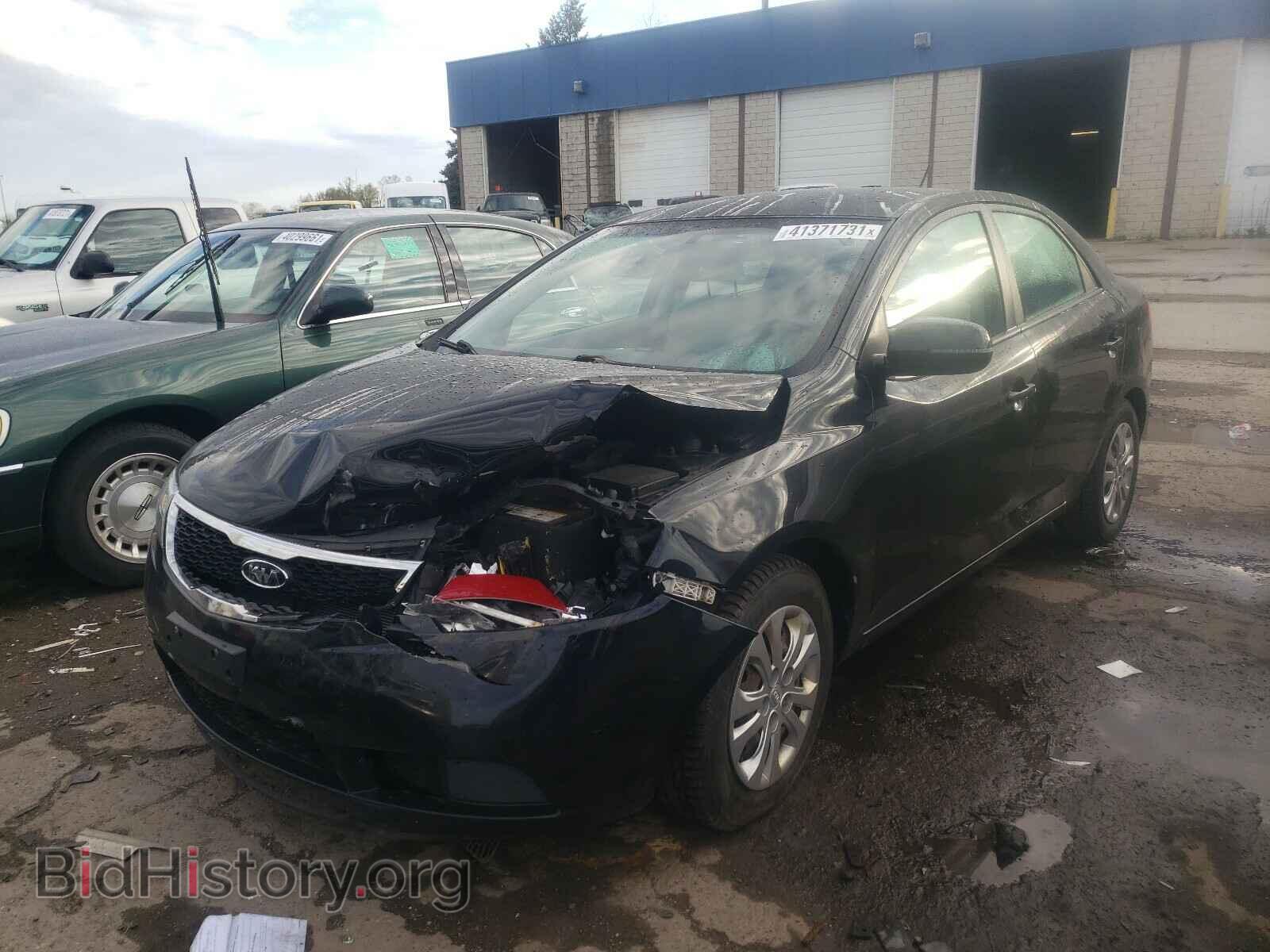 2011 KIA FORTE - VIN: KNAFU4A26B5412478 - Фото 2