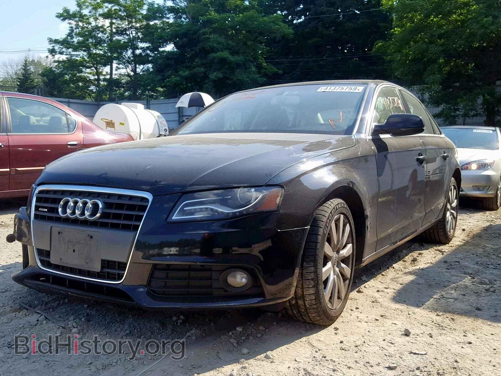2010 AUDI A4 - VIN: WAUFFAFL8AN069780 - Фото 2