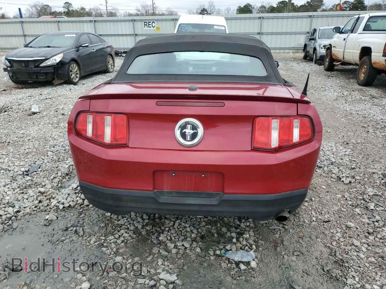 2010 FORD ALL Models - VIN: 1ZVBP8EN7A5157730 - Фото 6