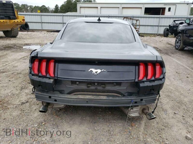 2021 Ford ALL MODELS (VIN 1FA6P8TH7M5120964) — фото 6 из 12
