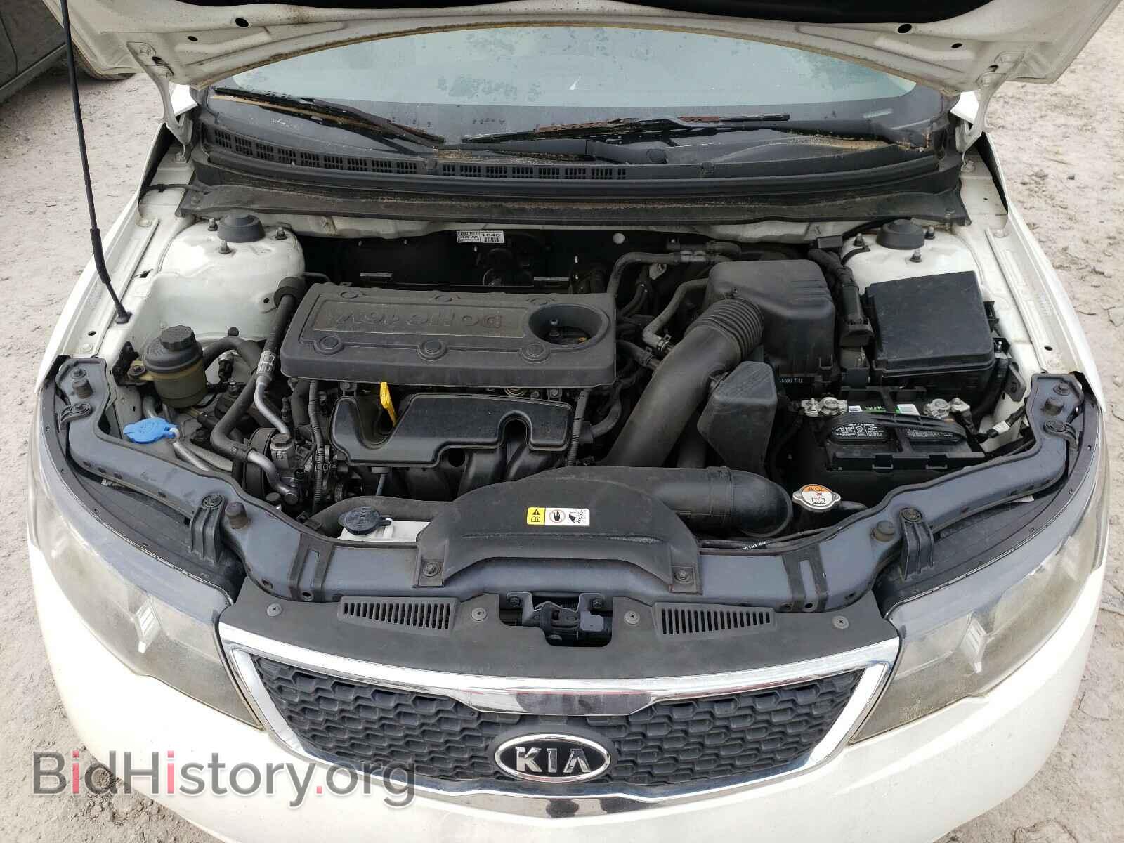 2013 KIA FORTE - VIN: KNAFT4A29D5652162 - Фото 7
