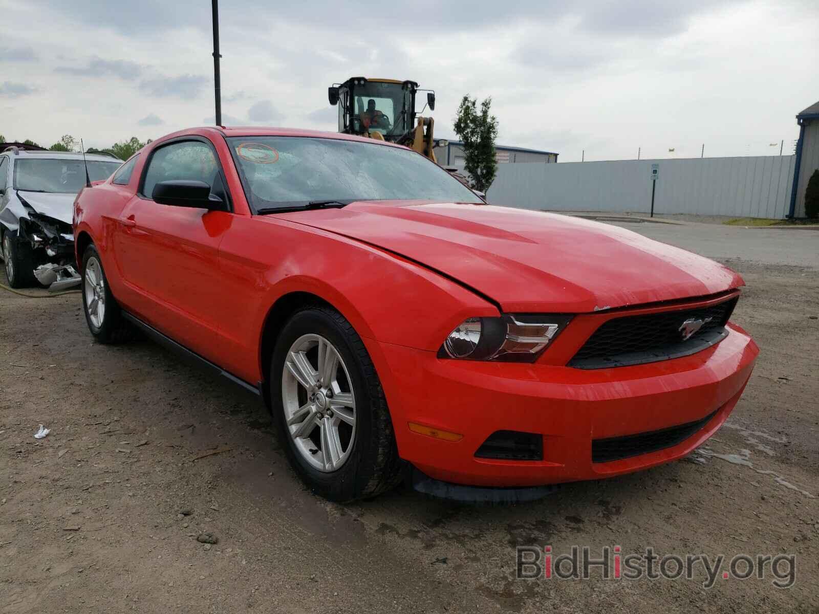 Фотография 1ZVBP8AM4B5133643 - FORD MUSTANG 2011